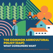 future Common Agricultural Policy