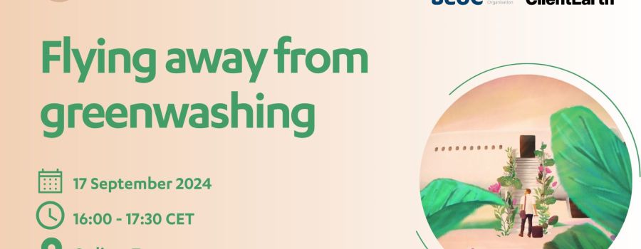 Flying away from greenwashing, visual of the event